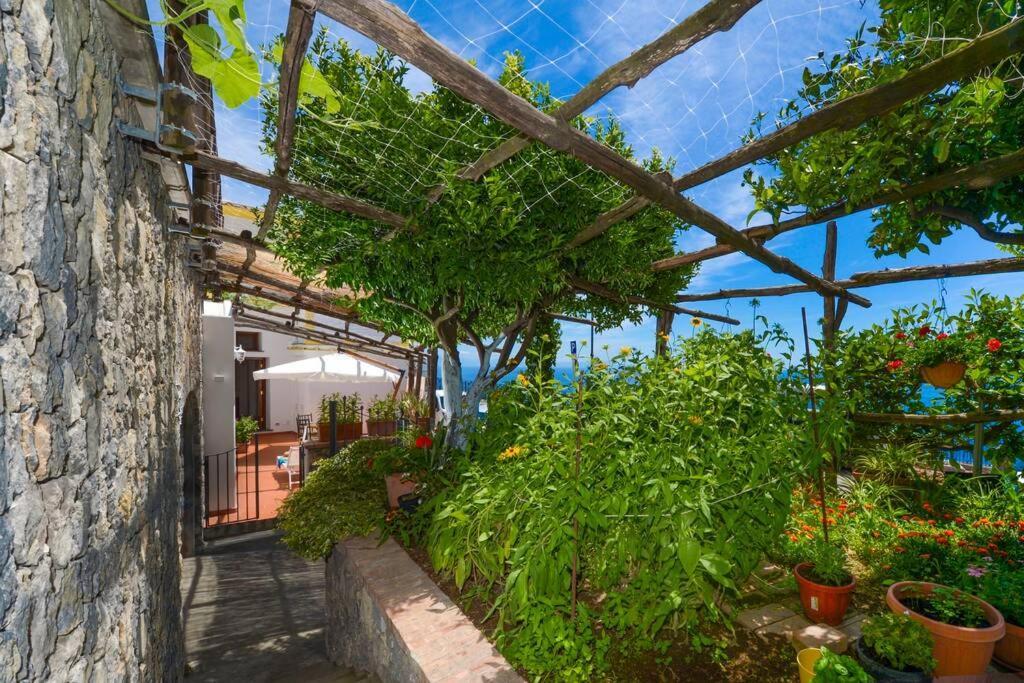Casa La Verbena Praiano Exteriér fotografie